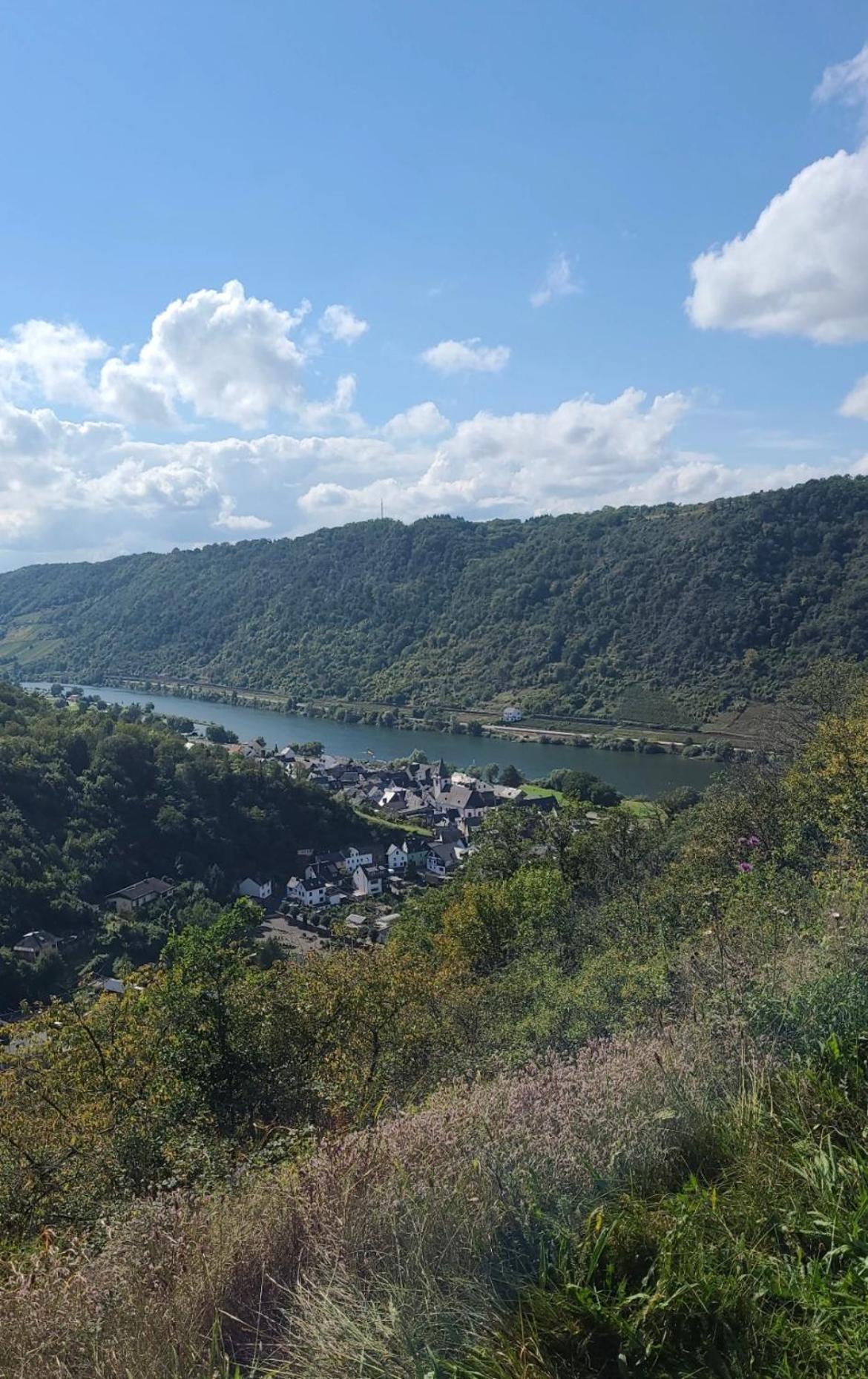 Traumpfade Boppard